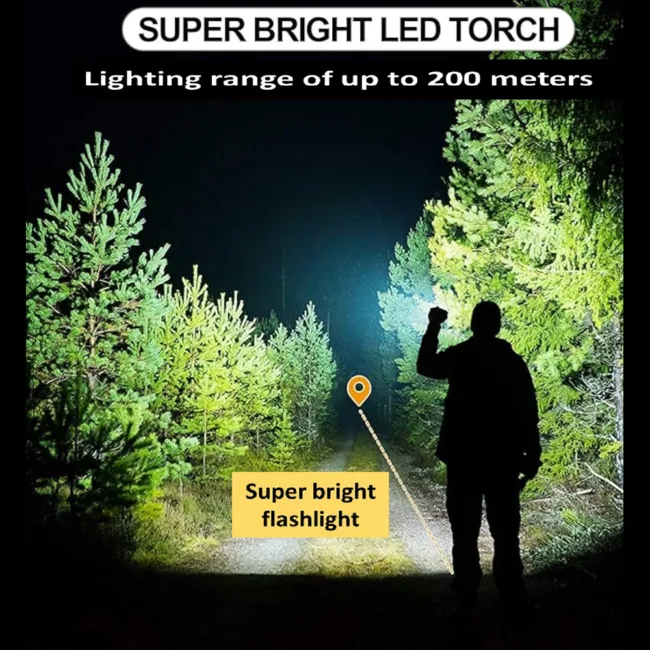 BridgePro LED Solar Rechargeable Torch Light